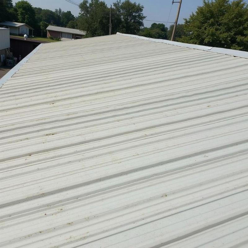 Hồng Tâm Phát cung cấp dịch vụ làm sạch mái tôn tại nhà ở TP.HCM với quy trình chuyên nghiệp, sạch sẽ.