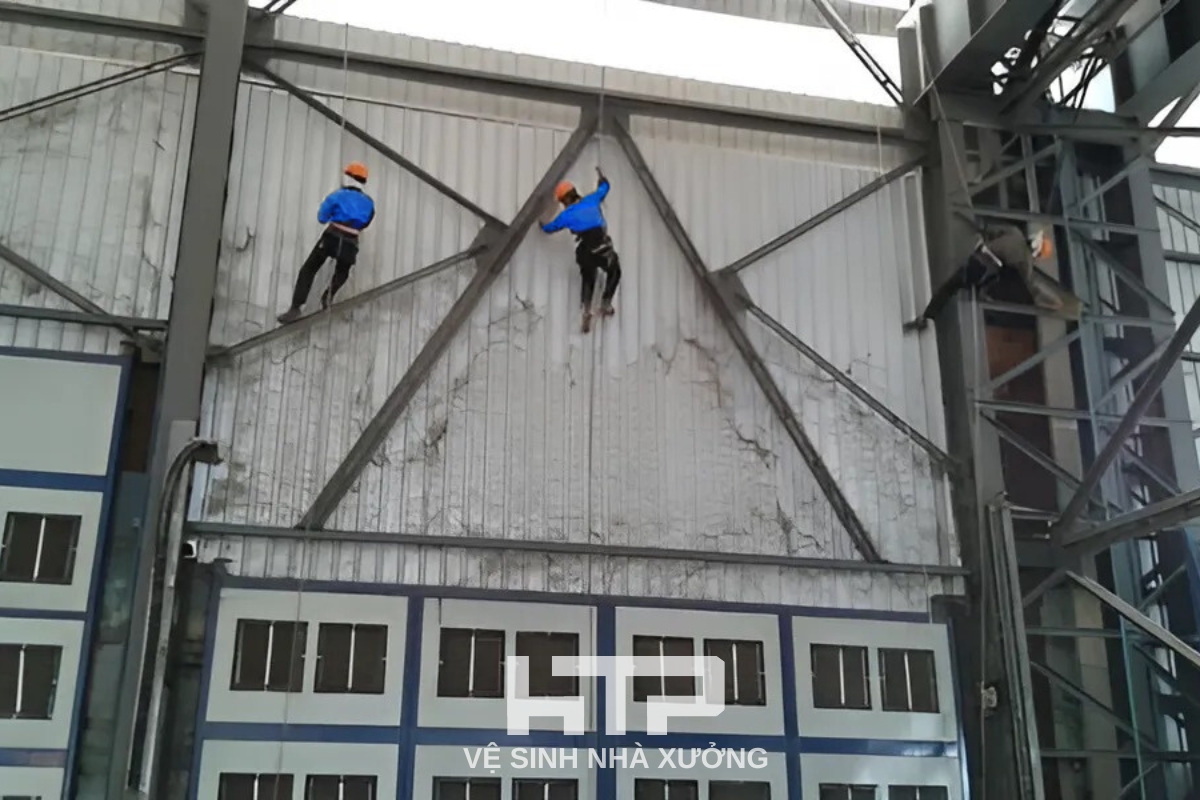 Dịch vụ vệ sinh mạng nhện nhà xưởng